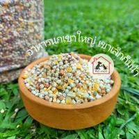 ราคา [1kg.]อาหารนกเขาใหญ่ อาหารนก ขนมนก นกเขาชวา นกเขาแขก นกอื่นๆ เกรดพรีเมี่ยม bird food แบบแบ่งขาย (1729581768379172961)