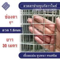 ราคา ลวดตาข่าย ช่องตา 1“ ลวด1.6mm ยาว30m ลวดตาข่ายชุบกัลวาไนซ์(ชุบร้อน) ตาข่าย ตะแกรง ลวดตาข่ายช่องตาสี่เหลี่ยม กรงไก่ กรงนก (1731347709524870328)