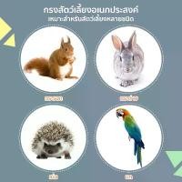 ราคา Petcho กรงกระต่าย กรงกระรอก กรงกระต่ายขนาดใหญ่ กรงนก หนูแกสบี้ กรงแกสบี้ กรงสัตว์เลี้ยงอเนกประสงค์ ตาข่ายเหล็กเข้ารหัส (1731856589218154156)