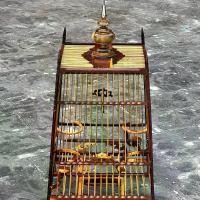 ราคา กรงนก 15 ซี่โพเล (1729665635500918789)