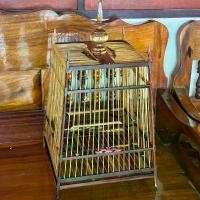 ราคา กรงนก17ซี่โพเลรวมหัวบัวใหญ่ (1729750866310760453)