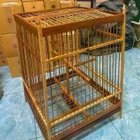 ราคา กรงนก 19ซี่ พานบินหลา ไม้มังคุด พร้อมหัวธรรมดา (เลี้ยงหัวจุกได้/บินหลาได้) (1730338337180059653)