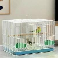 ราคา *พร้อมส่ง* กรงนก กรงกระต่าย กรงสัตว์เลี้ยง กรงกระรอก กรงหนูตะเภา กรงกระรอกบิน (1732171925793966963)