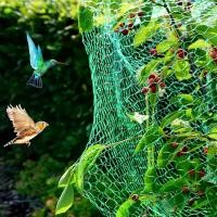 ราคา อวนไก่สำเร็จรูป ตาข่ายล้อมไก่ กรงไก่ กรงนก ล้อมสวนผัก (1730871486789552661)