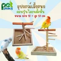 ราคา คอนบันไดวนตั้งพื้น อุปกรณ์แต่งกรง อุปกรณ์เลี้ยงนก กรงนก คอนไม้ สำหรับนก คอนบันได สำหรับ นก นกแก้ว นกหงส์หยก นกเลิฟเบิร์ด อุปกรณ์สัตว์เลี้ยง บ้านนก คอนนก (1729655201772767762)