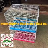ราคา กรงนก BQ07 กรงกระรอก กรงนก กรงชูการ์ (1729589742320519361)