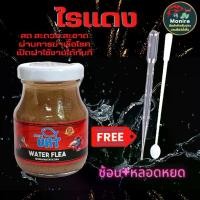 ราคา COD อาหารปลา ไรแดง UHT สำหรับ ปลาหางนกยูง ปลากัด ปลาสวยงาม (1731644131955279042)