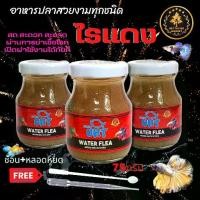 ราคา COD อาหารปลา ไรแดง UHT สำหรับ ปลาหางนกยูง ปลากัด ปลาสวยงาม (1731353807408825639)