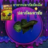 ราคา Tokyu อาหารปลา+ปลากัดมหาชัย คละสี พร้อมส่ง ส่งไว สำหรับปลาสวยงาม Tokyu โปรตีนสูง อาหารปลาอัดเม็ด + ปลากัด (1732054465856570586)