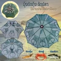 ราคา CEGNUL ขายดี ตาข่ายดักปลา 6 , 8 ,10 ช่อง ที่ดักกุ้งฝอย มุ้งดักปลา มุ้งดักกุ้ง กระชังดักปลา อุปกรณ์ตกปลา อวนจับปลา แหจับปลา อาหารปลา ปลีก/ส่ง (1732064865558562578)