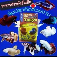 ราคา Tokyu อาหารปลา+สุมปลากัดสวยงาม พร้อมส่ง ส่งไว สำหรับปลาสวยงาม Tokyu โปรตีนสูง อาหารปลาอัดเม็ด + ปลากัด (1732054477355451610)