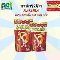 ราคา [เม็ดจิ๋ว] อาหารปลา SAKURA GOLD อาหารปลาซากุระ ขนาด50-100 g. (อาหารปลาสวยงาม เร่งสี เร่งโต น้ำไม่ขุ่น) (1729622775066364434)