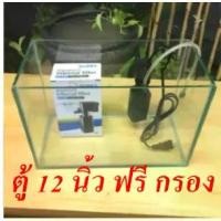 ราคา พร้อมส่งจากไทย ตู้เลี้ยงปลา กุ้ง กระจกใสหนา 5 mm. ทรงสูงยาว 12 นิ้ว แถมฟรี กรองน้ำแขวนตู้ปลา รุ่น WP-208H (1731698327987062542)