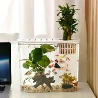 ราคา ตู้ปลา ตู้ปลากัด ตู้เลี้ยงปลา อ่างเลี้ยงปลา โหลเลี้ยงปลา ตู้ปลาพลาสติก ตู้ปลาพลาสติกใส (1731417579647502979)