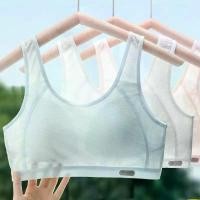 ราคา เสื้อชั้นใน, การฝึกอบรม, สำหรับวัยรุ่นและเด็กผู้หญิง, บราเซียร์, เสื้อผ้าสำหรับเด็ก, เสื้อ, สไตล์ลำลอง, เสื้อกั๊กสำหรับวัยรุ่น, ระบายอากาศได้, ชุดชั้นในเด็กผู้หญิง, สปอร์ตบรา (1731640767920245554)