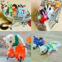 ราคา ที่ขายดี ที่สุดในสัปดาห์นี้ ถูก​ที่สุดเสื้อชูก้า​พร้อมสายจู​ง[[[ Pepzi&Family ]]]] เสื้อพร้อมสายจูง ชูก้า ชูก้าร์ ชูการ์ไกรเดอร์ ชูการ์ไกลเดอร์ (1732052142832649225)