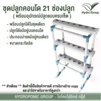 ราคา ชุดปลูกผักไฮโดรโปนิกส์ คอนโด 21 ช่อง ระบบน้ำนิ่ง by hydroponicgroup (1729613329407838256)
