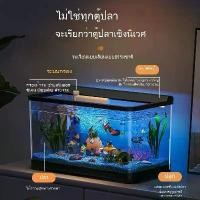 ราคา ตู้ปลา ห้องนั่งเล่น ตู้ปลาขนาดเล็ก นิเวศวิทยา ตู้ปลาทองตั้งโต๊ะขนาดเล็กและขนาดกลาง ขี้เกียจ พลาสติกใส จัดสวน บ้าน (1731934253323552636)