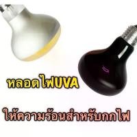 ราคา จัดส่งที่รวดเร็ว หลอดไฟให้ความร้อน อินฟาเรด หลอดไฟUVA สำหรับกกไฟ ให้ความอบอุ่นสัตว์เลี้ยง สัตว์เลื้อยคลาน เต่าบก กลางวัน กลางคืน Infrared (1731806810897024194)