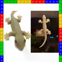 ราคา COD--ส่งด่วน❗️จิ้งจกปลอมแกล้งเพื่อน จิ้งจกตาดำ เหมือนจริงมาก ของเล่นแกล้งเพื่อน ระยอง ครัว ตะเกียง โมเดล เครื่องบิน รถ flash flash จิ๋ว train train wooden bugat (1731762603264607739)