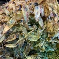 ราคา หมึกกะตอยแห้ง นำ้หนัก 500 กรัม (ครึ่งกิโล) ระยองบ้านเพ ระยอง อร่อย เค็มน้อย เนื้อนุ่ม เป็นธรรมชาติ ทำเองค่ะ (1730208413169322175)