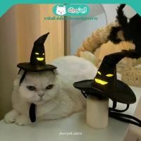 ราคา purrpet หมวกแม่มด (ไฟกระพริบ) หมวกแมวฮาโลวีน หมวกสุนัข Halloween หมวกแฟนซี (1731013309336815763)