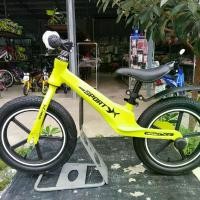 ราคา จักรยานขาไถล้อ 14 นิ้ว balance bike ล้อ 14 นิ้ว Sport กีฬา ออกกำลังกาย กลางแจ้ง (1730951165274786189)