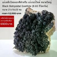 ราคา แร่เหล็กไหลงอกสีดำหรือ แร่เกอร์ไทต์ Black Botryoidal Goethite (8.65 กิโลกรัม) หินแร่มงคล (1731145108037995384)