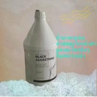 ราคา แบล็คแอลจีทรีน BLACK ALGAETRINE น้ำยากำจัดตะไคร่น้ำดำสำหรับสระว่ายน้ำ (1732172151480945408)