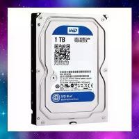 ราคา 1 TB 3.5" HDD (ฮาร์ดดิสก์ 3.5 นิ้ว) WD BLUE - 7200RPM SATA3 (WD10EZEX) ติดเหลือง ใช้งานปกติ (1732195917476628031)