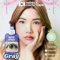 ราคา Friendly คอนแทคเลนส์ รุ่น Cider Gray กล่องน้ำเงิน DIA 14.2 mm ขนาดเท่าตา {ค่าสายตา 00 ถึง -800} (1731954780030928813)