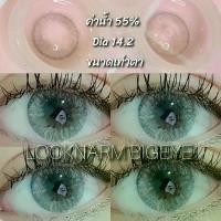 ราคา Vivian Gray (Dia 14.2) (Kitty kawaii) คอนแทคเลนส์ค่าน้ำ 55% Contactlens (1729722379630840204)