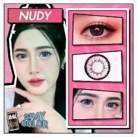 ราคา Wink คอนแทคเลนส์ ฝาดำ Nudy Gray ตาโตมาก ใช้งานได้ 1 เดือน (1731970823818872434)