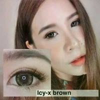 ราคา คอนแทคเลนส์สายตาปกติ Icy-x Brown/Gray (Pitchylens) ขนาดบิ๊กอาย (1731144220201421068)