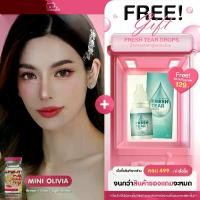 ราคา Kitty Kawaii Contact Lens : Mini Olivia สี Brown/Gray/Light brown คอนแทคเลนส์ แบบขวด (1729573884966897991)