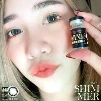 ราคา คอนแทคเลนส์ : Shimmer gray (ชิมเมอร์ เทา ) (1731913783344989754)
