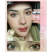 ราคา มีค่าสายตา Rozelens LAMUNE Gray Brown black บิ๊กอาย สุดปัง คอนแทคเลนส์ รายเดือน มีอย แถมตลับฟรี เลนส์นิ่ม สวยปังมาก (1729603427785082942)