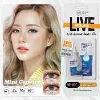 ราคา คอนแทคเลนส์รายเดือนคิตตี้ คาวาอิ รุ่น Mini Cemore Brown / Gray (1731377033088764536)