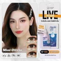 ราคา คอนแทคเลนส์รายเดือนคิตตี้ คาวาอิ รุ่น Mini Olivia Brown / Gray / Light Brown (1731377032762854008)