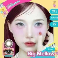 ราคา Big Mellow gray (15MM) ulens ค่าอมน้ำ65% เลนส์นิ่มพิเศษ กรองแสง UVA/UVB คอนแทคเลนส์นิ่มใส่สบาย (1731681694256826277)