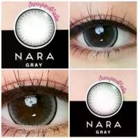 ราคา Nara gray winklens รุ่นตาโต คอนแทคเลนส์กรองแสง (1729733993369275301)