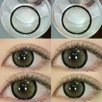 ราคา Gray บิ๊กอายส์ ตาโต (Bigeyes) คอนแทคเลนส์กรองแสง (1729731422523853730)