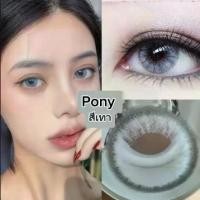 ราคา Pony gray ((สีเทา)คอนเทคเลนส์ เปลี่ยนแทนทุกเดือน (1729516996500949572)