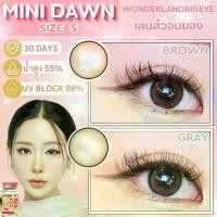 ราคา คอนแทคเลนส์วอนยอง ขนาดมินิ Mini Dawn (kittykawaii) Brown / Gray / Light Brown (1729989706651437074)