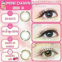 ราคา คอนแทคเลนส์ธรรมชาติ ขนาดมินิ รุ่น Mini Dawn Brown / Gray / Light Brown (kittykawaii) (1730344688613362189)
