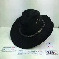ราคา หมวกคาวบอย Cowboy hat หมวกปีก Wing hat ขายร้อน (1731689086353246704)