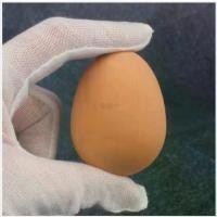 ราคา ไข่จำลอง, ยืดหยุ่น, สัมผัสเหมือนจริง, ไข่เป็ดปลอม, พร็อพมายากล, ทำจากยางแข็ง, ไข่ไก่ปลอม ท่อ ไก่ โอ๊ก ลิ้น แมวปลอม prank nail machine ของ เล่น ไม้ขีด ไฟ (1731449842433820117)