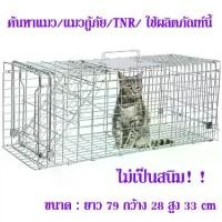 ราคา ส่งฟรี!!ถูกที่สุด!!Hot Sale Stainless Steel Cage กรงสแตนเลสCatTrap4You กรงดักแมว (ไซส์ XL) พับได้ จับแมวจรจัด จับแมว ดักจับแมว ดักจับแมวจร (1730524045614352489)