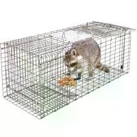 ราคา ส่งฟรี!!ถูกที่สุด!!Hot Sale Stainless Steel Cage กรงสแตนเลสCatTrap4You กรงดักแมว (ไซส์ XL) พับได้ จับแมวจรจัด จับแมว ดักจับแมว ดักจับแมวจร (1731333896962148368)