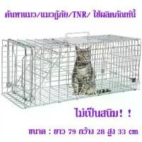 ราคา ส่งฟรี!!ถูกที่สุด!!Hot Sale Stainless Steel Cage กรงสแตนเลสCatTrap4You กรงดักแมว (ไซส์ XL) พับได้ จับแมวจรจัด จับแมว ดักจับแมว ดักจับแมวจร (1729852831125506842)